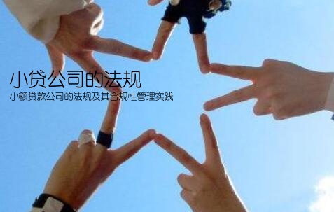 小額貸款貸公司管理辦法(小額貸款公司管理辦法細(xì)則)-添財(cái)網(wǎng)