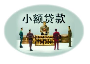 小額貸款公司需要什么(小額貸款需要公司章程嗎)-添財(cái)網(wǎng)