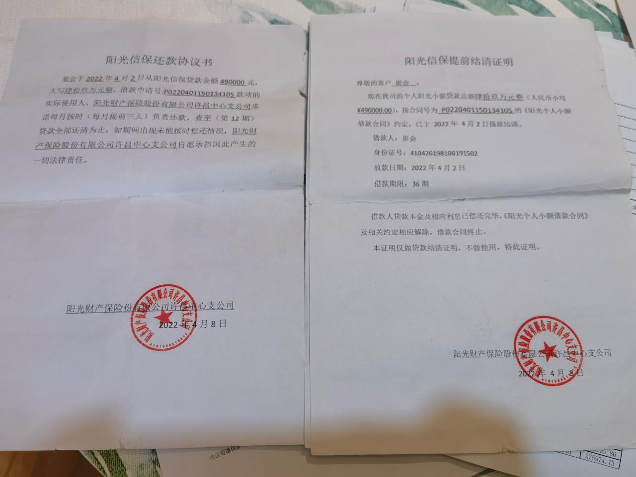 貸款與保險公司(貸款保險公司代償有什么后果)-添財網