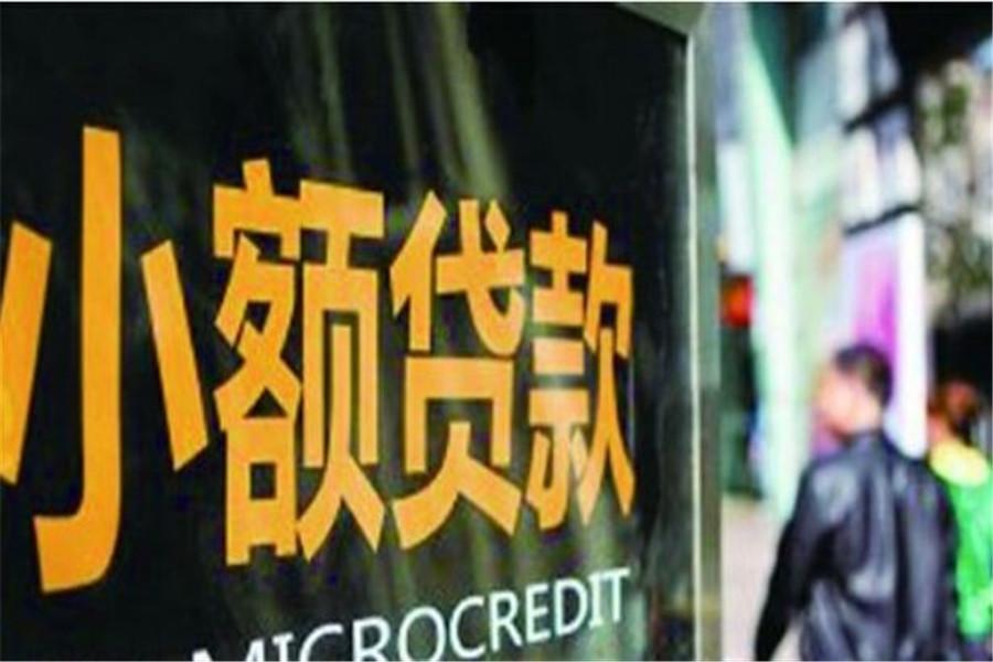 小額貸款公司需要什么(小額貸款需要公司章程嗎)-添財網