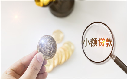 專業辦理貸款公司(貸款辦理專業公司合法嗎)-添財網