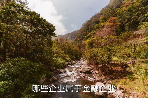 小額貸款公司的業務范圍(小額貸款有限公司的業務范圍)-添財網