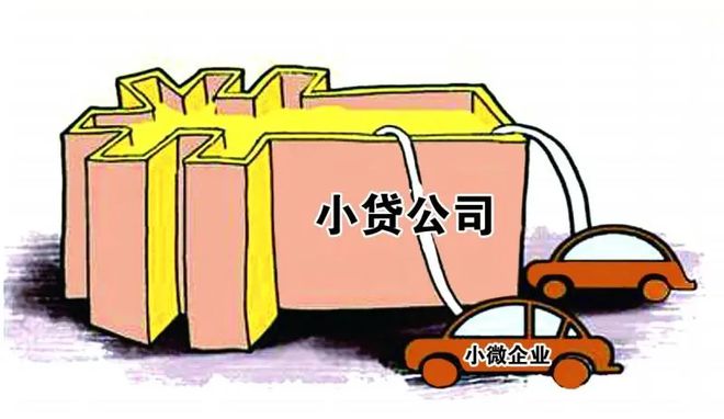進小額貸款公司(小額貸款進公司有風險嗎)-添財網