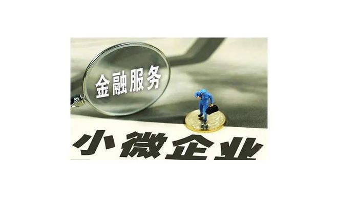 進小額貸款公司(小額貸款進公司有風險嗎)-添財網