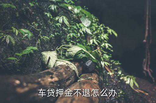 擔保公司貸款保證金(擔保貸款保證金公司可以退嗎)-添財網(wǎng)