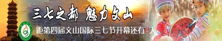 公司賬戶流水貸款(貸款公司做流水)-添財網