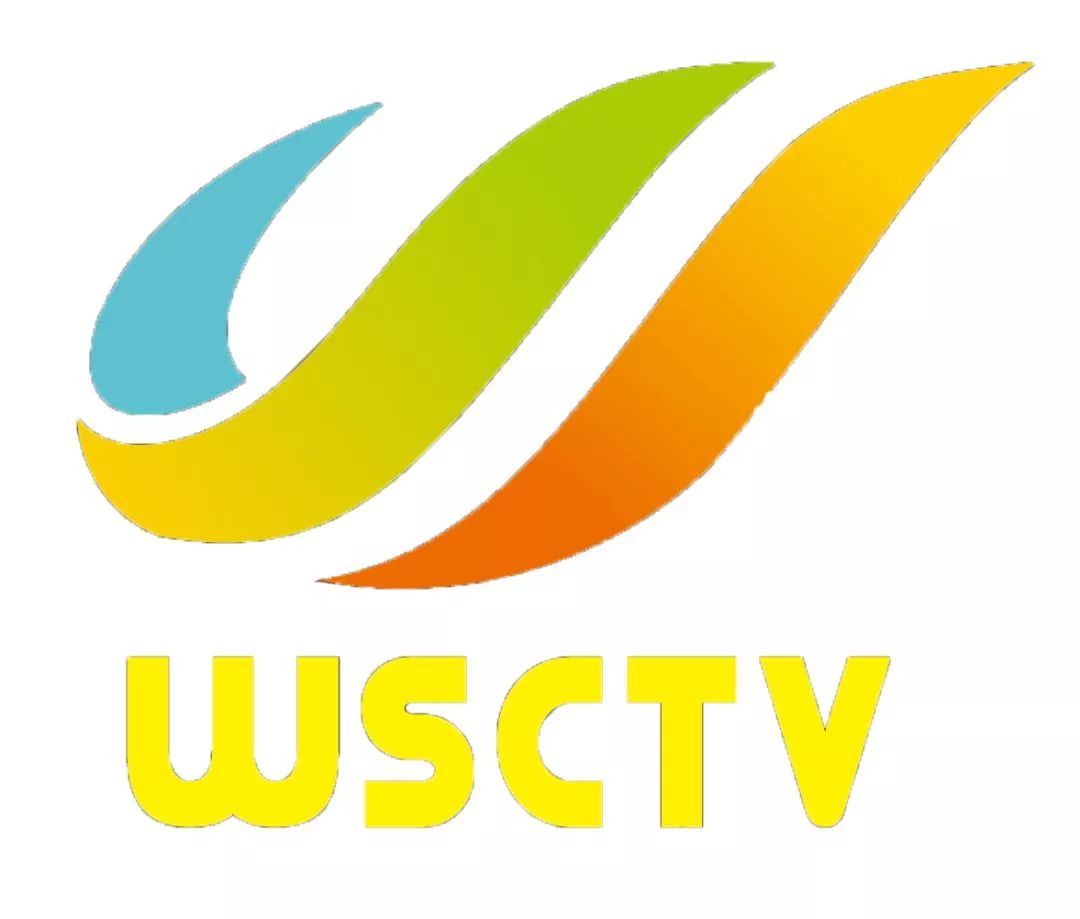 公司賬戶流水貸款(貸款公司做流水)-添財網