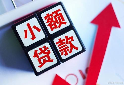 可靠小額貸款公司(小額可靠貸款公司有哪些)-添財網