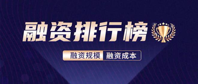 大型貸款公司排行(最大貸款公司)-添財網