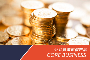 廣州信用貸款公司(廣州信用貸款公司可信嗎)-添財網