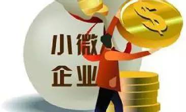 浙江 小額貸款公司(浙江小額貸款公司管理辦法)-添財網