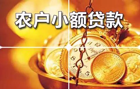 浙江 小額貸款公司(浙江小額貸款公司管理辦法)-添財網