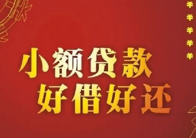 小額貸款公司 財務(wù)(小額財務(wù)貸款公司有哪些)-添財網(wǎng)