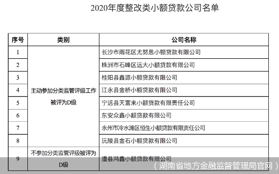 小額貸款公司 財務(小額貸款公司是財務公司嗎)-添財網