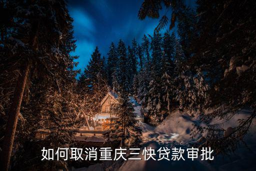 重慶三快小額貸款有限公司是什么(小額貸款公司都在重慶)-添財網