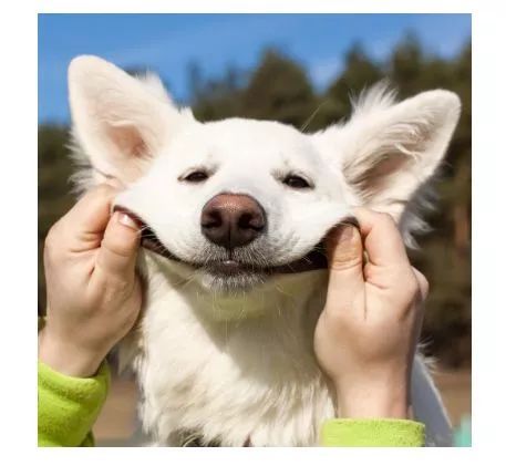 上市公司銀行貸款(上市和銀行貸款)-添財網