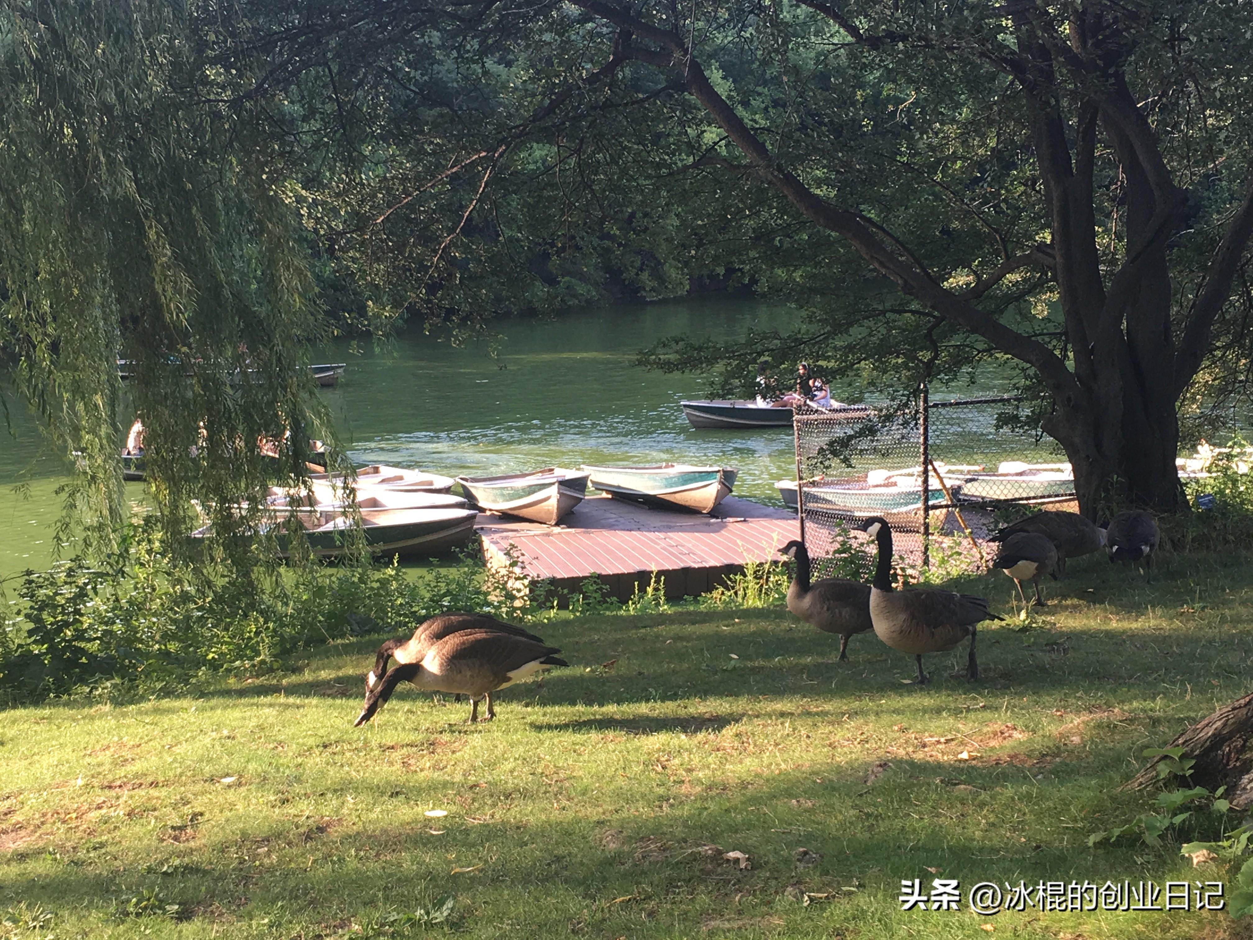 貸款公司有風險嗎(信貸公司風險)-添財網