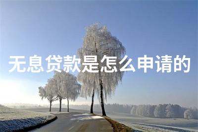 小額無息貸款公司(小額貸款公司無抵押貸款可靠嗎)-添財網(wǎng)