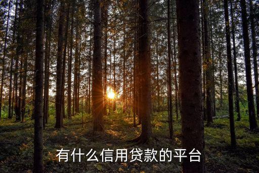 徐州貸款公司有哪些(江蘇徐州的貸款公司)-添財網