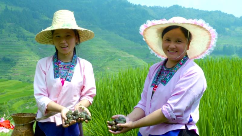 柳州貸款公司(柳州擔保貸款公司)-添財網