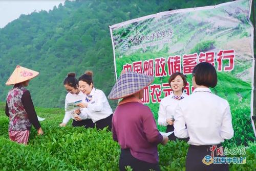 郵儲公司貸款(貸款郵儲公司是干嘛的)-添財網