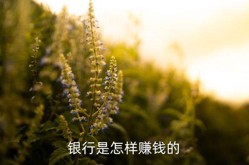 貸款公司怎么賺錢的(做貸款的公司正規嗎)-添財網