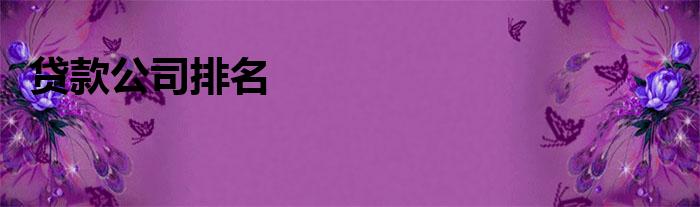 哪些貸款公司是國企(國企貸款公司是做什么的)-添財網(wǎng)