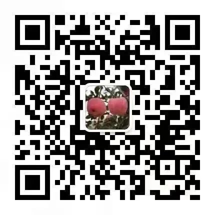 有小額貸款能辦理車貸嗎(有小額貸款的可以辦理車貸么)-添財網